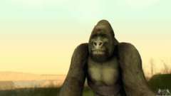 Gorilla (Mammal) для GTA San Andreas