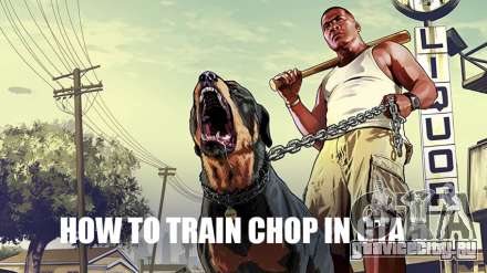 Чоп из GTA 5: как дрессировать и тренировать собаку