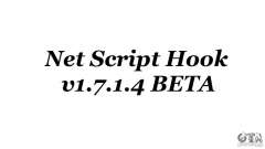 Net Script Hook v1.7.1.4 [Beta] для GTA 4