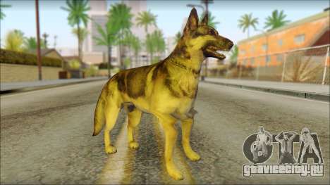 Dog Skin v1 для GTA San Andreas