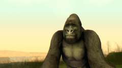 Gorilla (Mammal) для GTA San Andreas