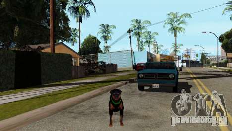 Возможность из GTA V играть за животных для GTA San Andreas