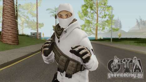 Arctic Leet Skin V3 (Counter-Strike Online 2) для GTA San Andreas