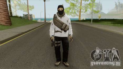 Arctic Leet Skin V2 (Counter-Strike Online 2) для GTA San Andreas