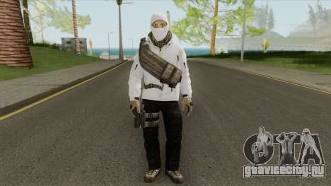 Arctic Leet Skin V3 (Counter-Strike Online 2) для GTA San Andreas