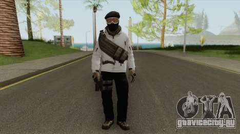 Arctic Leet Skin V1 (Counter-Strike Online 2) для GTA San Andreas