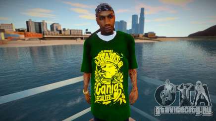 SeanWayne для GTA San Andreas