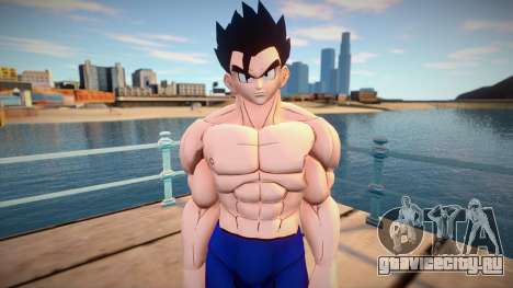Gohan no shirt from Dragon Ball Xenoverse 2 для GTA San Andreas