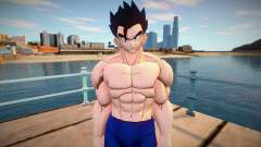 Gohan no shirt from Dragon Ball Xenoverse 2 для GTA San Andreas