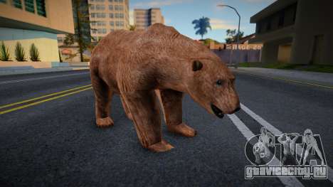 Медведь для GTA San Andreas