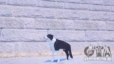 Dogs Ped Pack (Fallout 4) для GTA 4