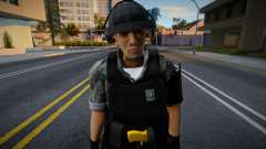 Гражданский полицейский Бразилии V2 для GTA San Andreas